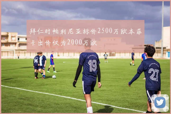 拜仁对帕利尼亚标价2500万欧本菲卡出价仅为2000万欧