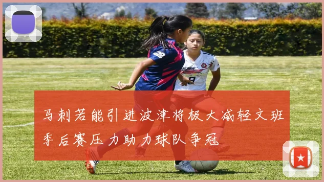 马刺若能引进波津将极大减轻文班季后赛压力助力球队争冠